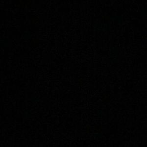 Meet your Posher, Sammy